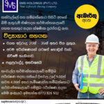 SMS Holdings (Pvt) Ltd