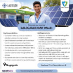 Lyceum Global Holdings